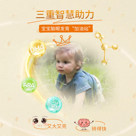 【跨境进口】2段羊奶粉 | 泓乐 Holle婴儿配方羊奶粉2段400g/盒 添加DHA德国原装进口 好吸收 适用于6个月以上（跨境商品报关后不支持退货，介意慎拍） 商品图1