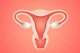 暴躁会存在子宫里，压力会存在于肩颈，艾灸穴位，专治“不开心”！ 