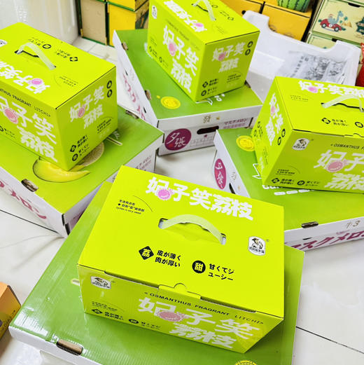 海南 妃子笑鲜荔枝 不泡水的干荔枝，孩子放心吃 商品图12