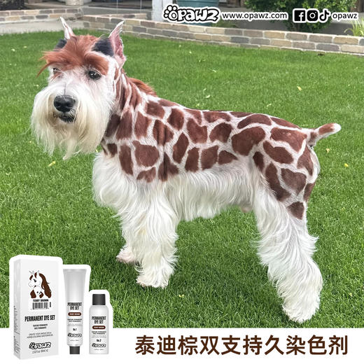 泰迪棕双支宠物持久染色剂 OPAWZ小爪印 商品图2