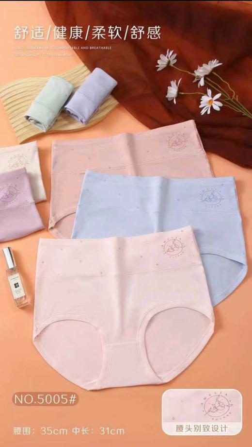 LS竹纤维女士大版抗菌内裤1002 商品图1
