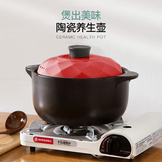 【小家电】龙的longde陶瓷锅炖锅3.5L砂锅汤锅新陶养生浅汤煲明火耐高温 适用燃气灶 LD-TP730 HF 商品图1