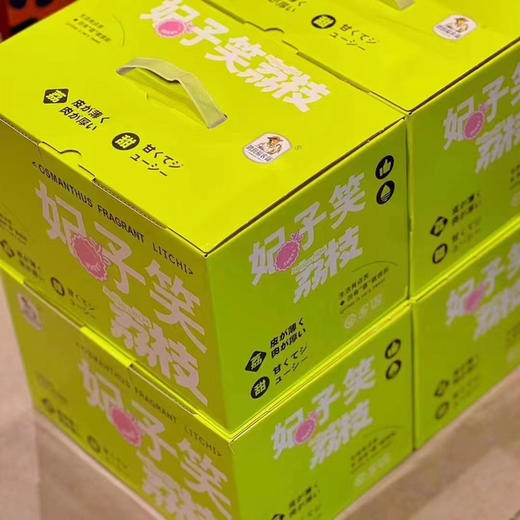 海南 妃子笑鲜荔枝 不泡水的干荔枝，孩子放心吃 商品图13