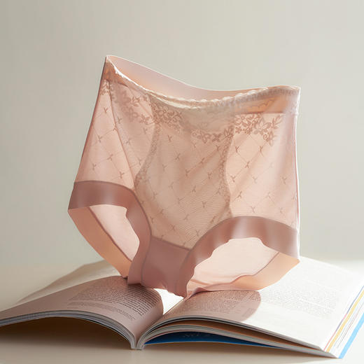 【蕾丝60支莫代尔内裤】优雅的颜色舒心的选择 温柔别致俏丽出色 让简洁清新成为生活里的元素 商品图2