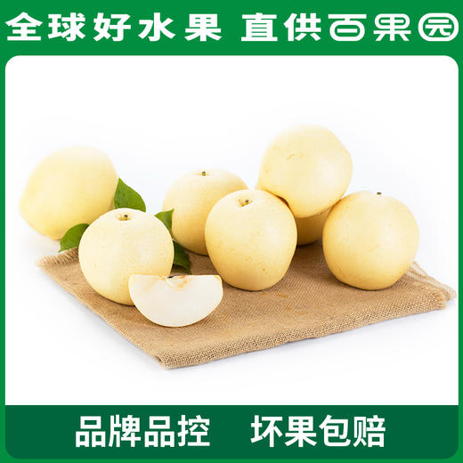 PAGODA百果园 A级-蜜梨8粒家庭装 商品图0