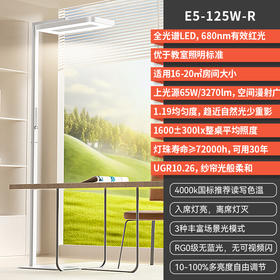 孩视宝阳光灯E5-125W-R