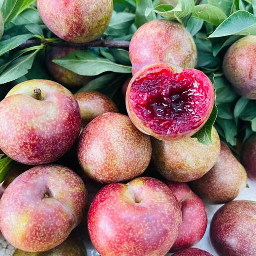 【脆嫩多汁】鸡血李 约500g/份 商品图1