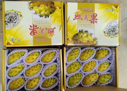 海南黄金燕窝果5斤装 商品图0