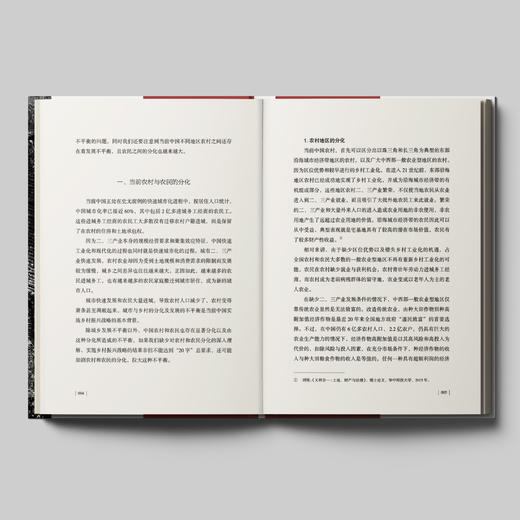 《大国之基：中国乡村振兴诸问题》 商品图7