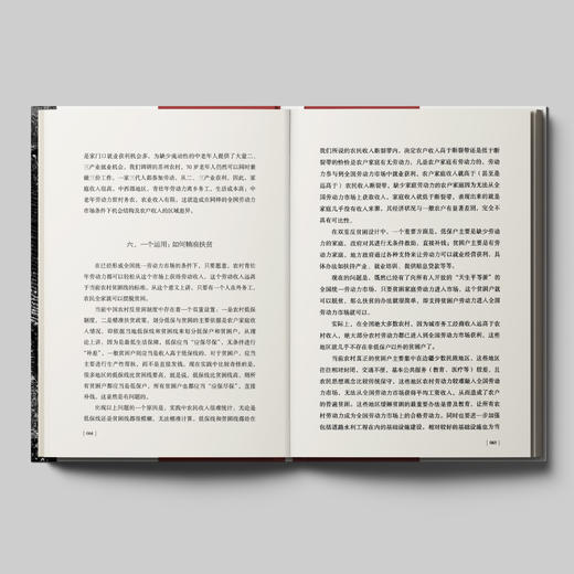 《大国之基：中国乡村振兴诸问题》 商品图8
