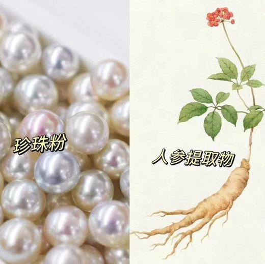 【植物芳疗高奢人参珍珠玻色因贵妇膏】无色/无香精/无着色剂 /无矿物油 无需卸妆均匀肤色 隐藏毛孔 高奢成分38g+7g 商品图3