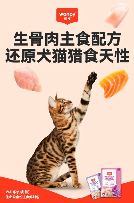 顽皮全价鲜封包 商品图3