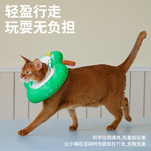 zeze红彤彤绿油油苹果伊丽莎白圈-B （包邮） 商品图4