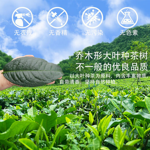 红星红英德红茶一叶知青.福相伴英红九号随手礼礼品茶 商品图3