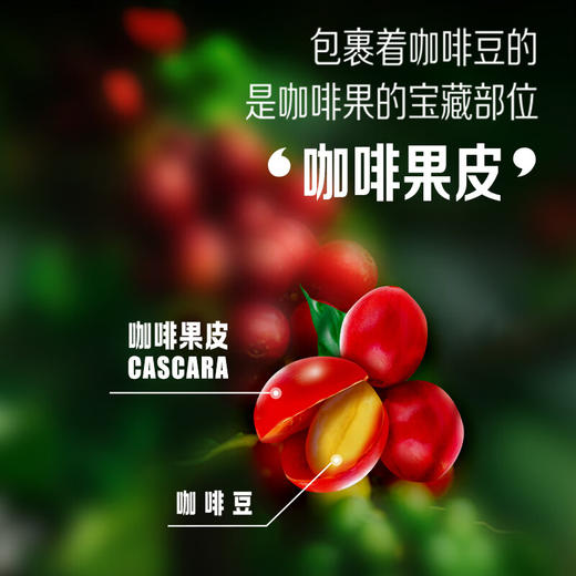 新品雀巢果然轻咖果茶饮品整件装 商品图2