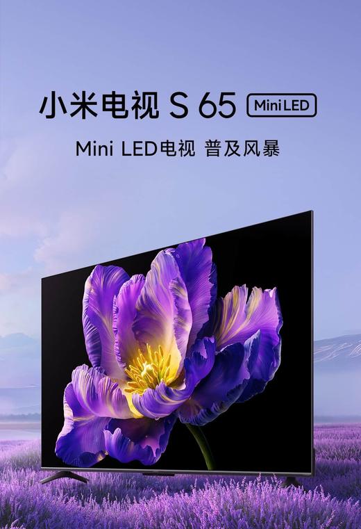 【柏联B1】【小米】小米电视S MiNi （55寸/65寸/75寸/85寸）（仅限云南省内发货） 商品图1