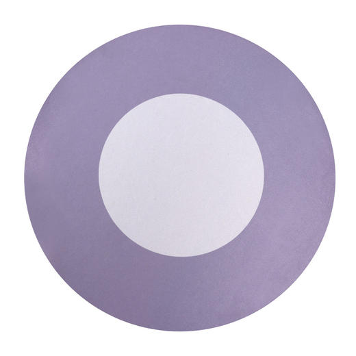 【抓周地毯 仪式感的周岁礼！】抓周用品道具一周岁礼生日布置虎宝宝摆件全套装地垫毯男女孩抓阄 商品图9