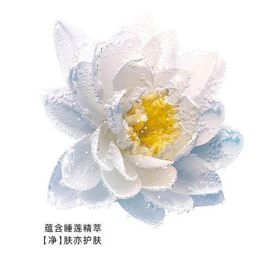 Dior迪奥睡莲洁面深彻净洁泡沫洁面乳洗面奶温和清洁 保湿绵密150ml【CDF】 商品图4