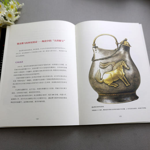 《了不起的中华文明系列》（全9册）| 国宝三部曲+考古三部曲+非遗三部曲 商品图9