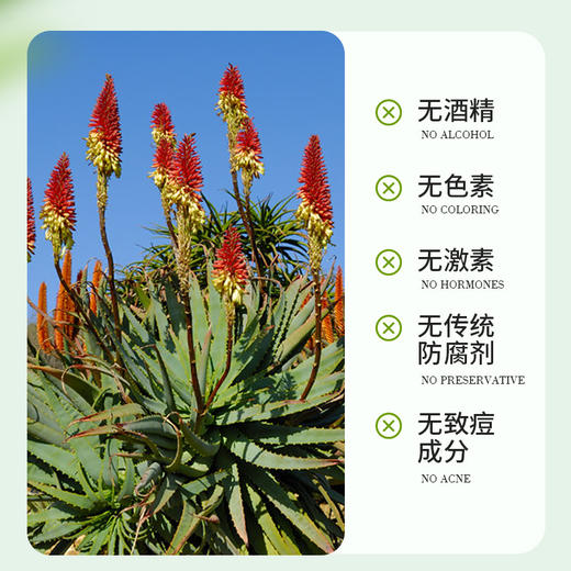 南非进口 开普大师芦荟胶75ml/支 商品图3
