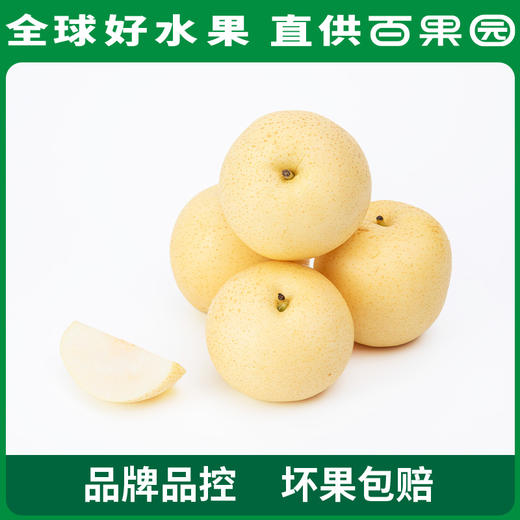 PAGODA百果园 A级-蜜梨8粒家庭装 商品图1