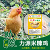 【广西】力源米糠鸡1kg（山地散养，养足180天） 商品缩略图0