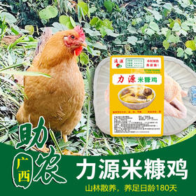 【广西】力源米糠鸡1kg（山地散养，养足180天）