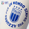 意大利国家队官方商品 | 欧洲杯限定款大容量队徽吸管杯蓝衣军团 商品缩略图2