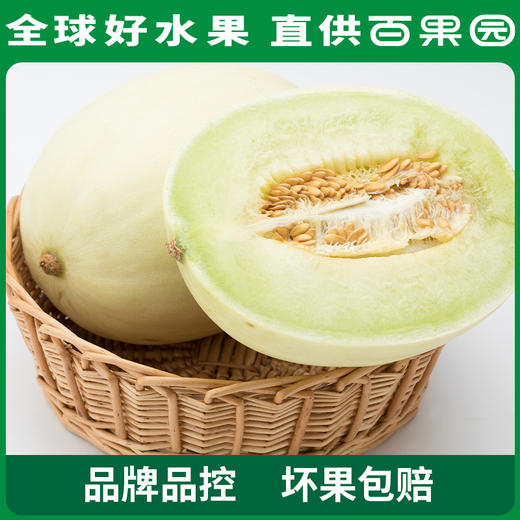PAGODA百果园 玉菇甜瓜4.5斤家庭装 商品图3