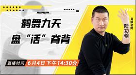 6月4日 鹤舞九天--盘“活”脊背