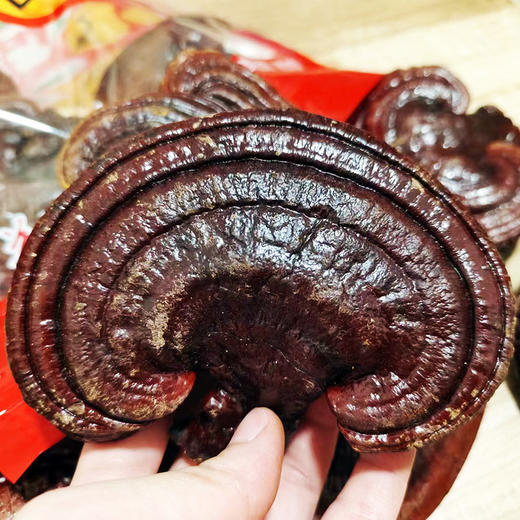 安徽旌德赤灵芝干货250克/袋【国sir严选】 商品图1