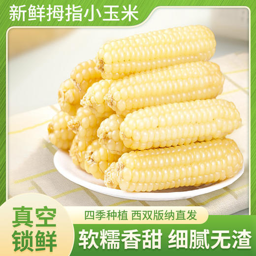 【云南特产！西双版纳拇指玉米】真空锁鲜，软糯香甜，细腻无渣，新鲜白糯迷你手指玉米儿童早餐 商品图1