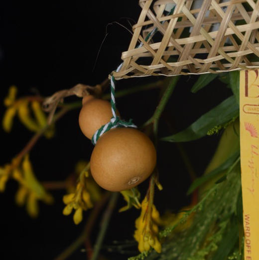 手持艾旗招百福，门悬蒲剑斩千邪（诸邪退散百毒不侵款） 商品图2