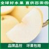 PAGODA百果园 A级-蜜梨8粒家庭装 商品缩略图2