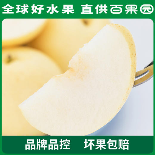 PAGODA百果园 A级-蜜梨8粒家庭装 商品图2