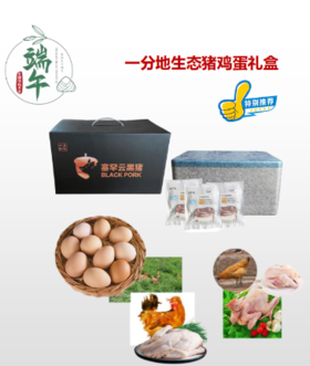 一分地生态猪鸡蛋礼盒
