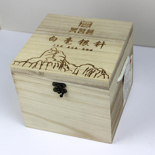 【老银针】鼎茗荟丨十五年陈老银针 白毫银针 福鼎白茶 2009年原料  200g 福鼎磻溪 木盒装 库存有限 售罄不补 商品图4