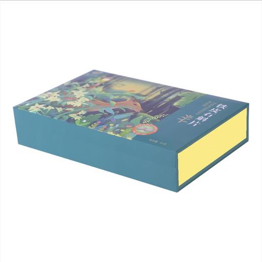 黔西南安龙【铁皮石斛片】60g/盒 全国包邮 新疆西藏不发货 香味纯正 清香自然 商品图1