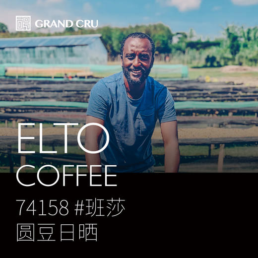 2024新产季｜埃塞Elto咖啡 ｜班莎区域 圆豆日晒 商品图0