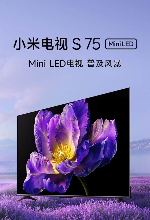 【柏联B1】【小米】小米电视S MiNi （55寸/65寸/75寸/85寸）（仅限云南省内发货） 商品图2
