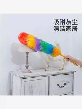 【ZK】纤维静电掸子