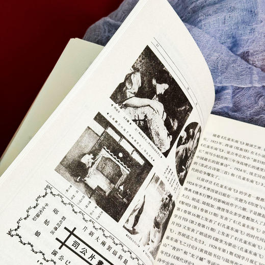 近代文学与语文教育互动 高中文学教育 新课标文学教育实施途径 高中生文学创造性阅读能力培养 商品图8