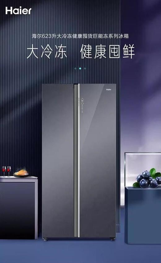 海尔冰箱（202764）BCD-623WLHSSE5SRU1风冷无霜一级能效变频623升巨能冻 星韵银BCD-623WLHSSE5SRU1 商品图0