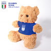 意大利国家队官方商品 | ITALIA 欧洲杯蓝色球衣小熊玩偶公仔周边 商品缩略图1