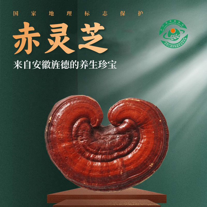 安徽旌德赤灵芝干货250克/袋【国sir严选】