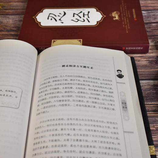 【全2册】挺经+忍经 古代圣贤韬光养晦智慧集大成  坚挺与忍耐 商品图5