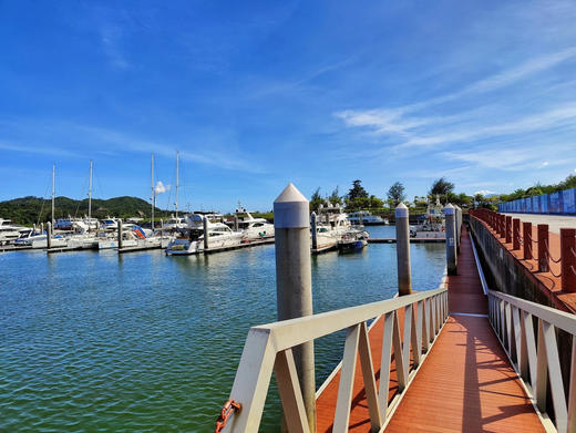 巽寮湾国际游艇会环境预览 商品图4