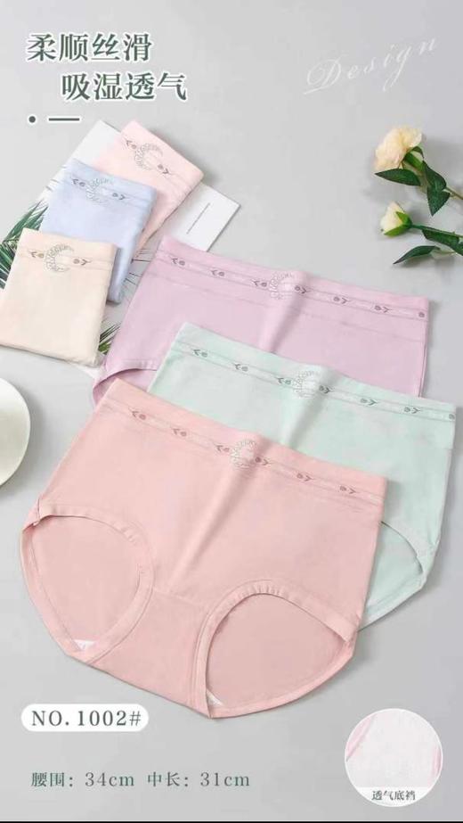LS竹纤维女士大版抗菌内裤1002 商品图2