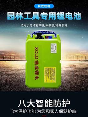 【ZK】24V锂电池