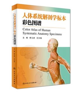 人体系统解剖学标本彩色图谱（第二版）